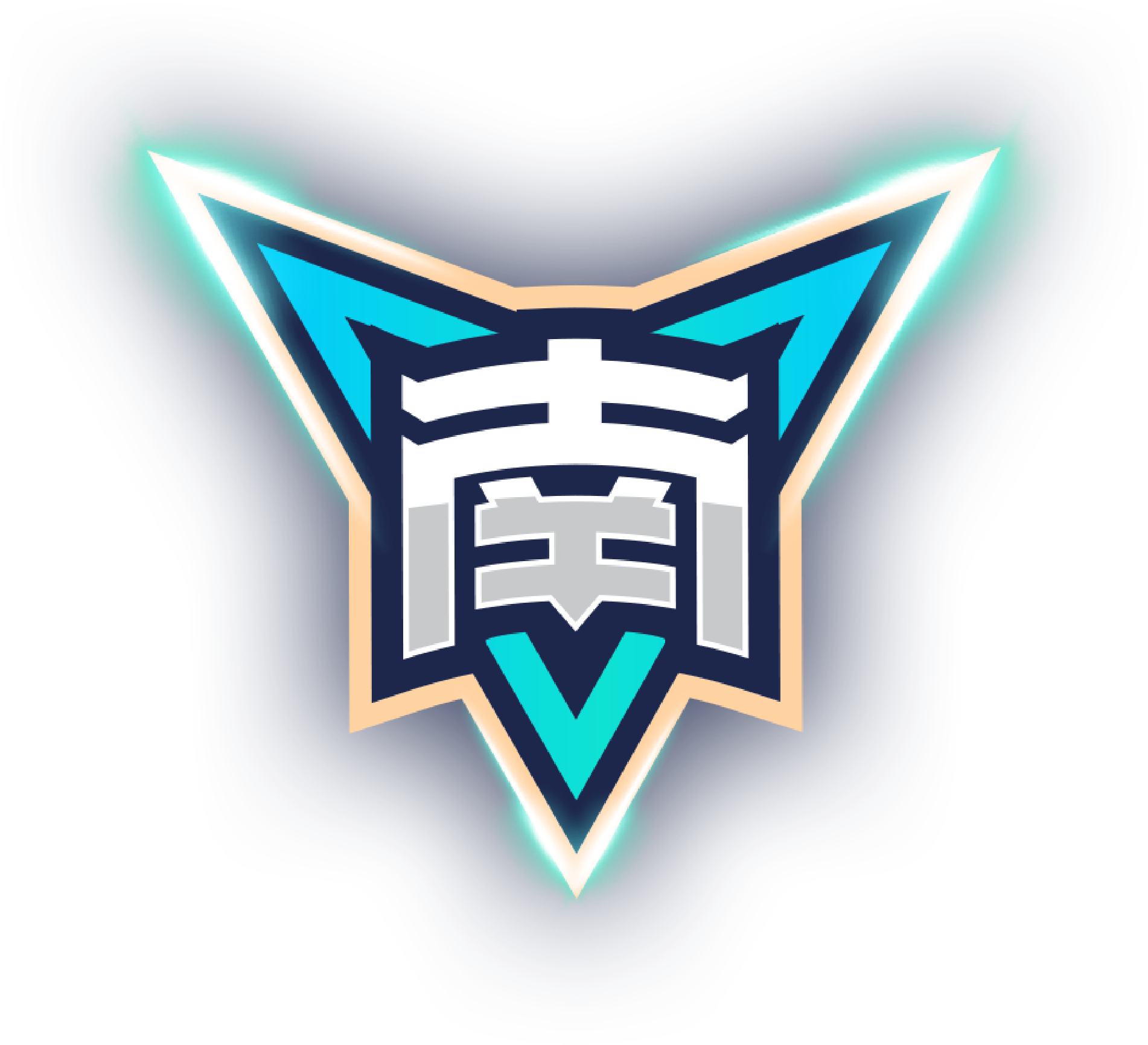 美洲队